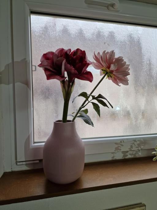 Grosszuegige Ferienwohnung 4+1 P. Buettelborn Luaran gambar
