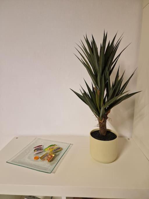 Grosszuegige Ferienwohnung 4+1 P. Buettelborn Luaran gambar