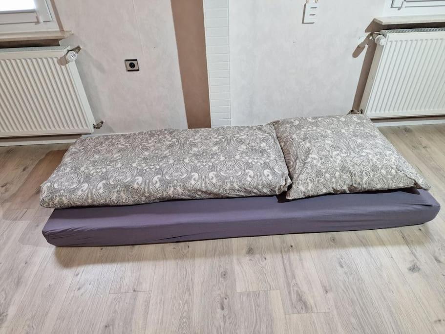 Grosszuegige Ferienwohnung 4+1 P. Buettelborn Luaran gambar